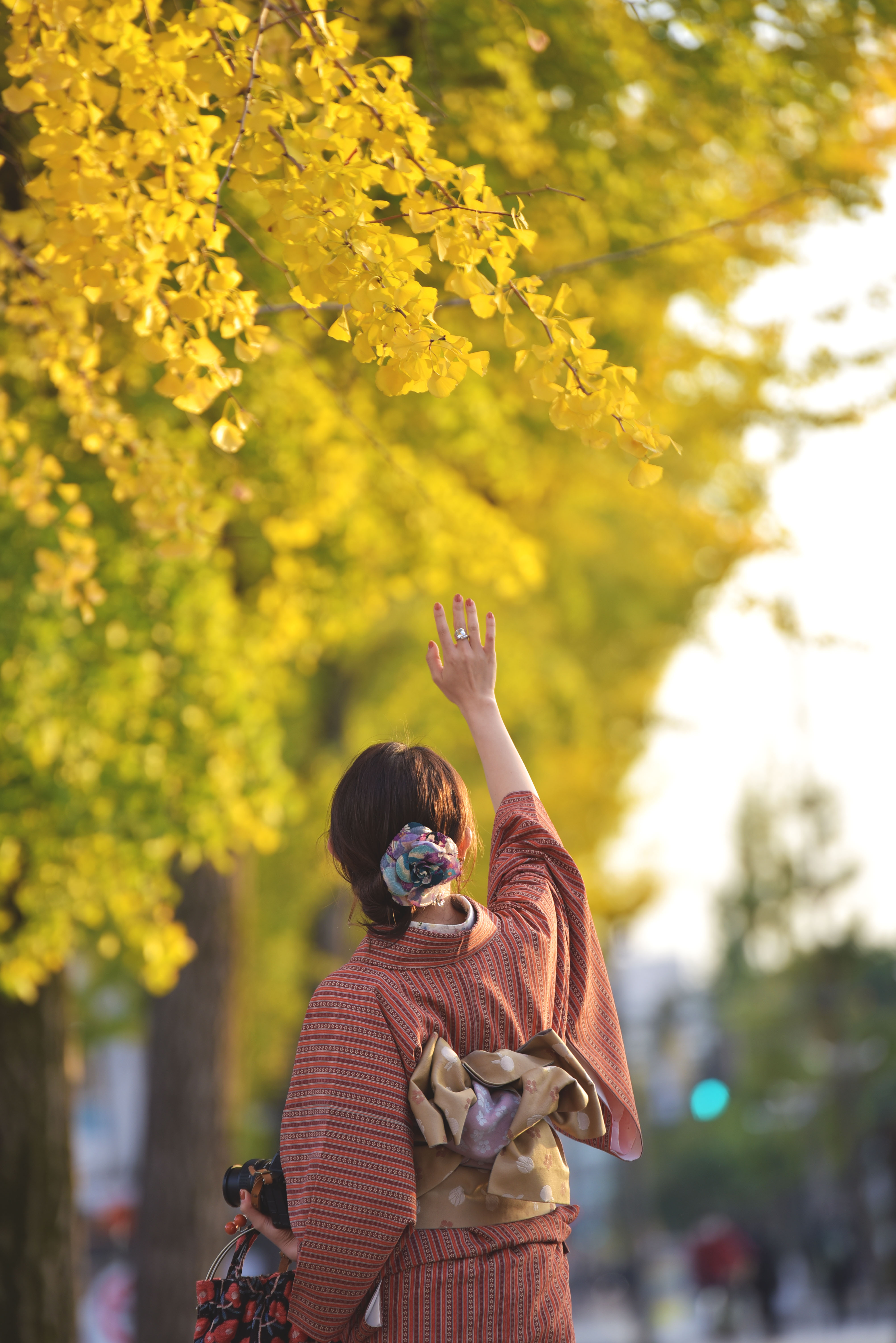 おすすめ紅葉イベントからスポットまで！姫路で楽しむ「紅葉の秋